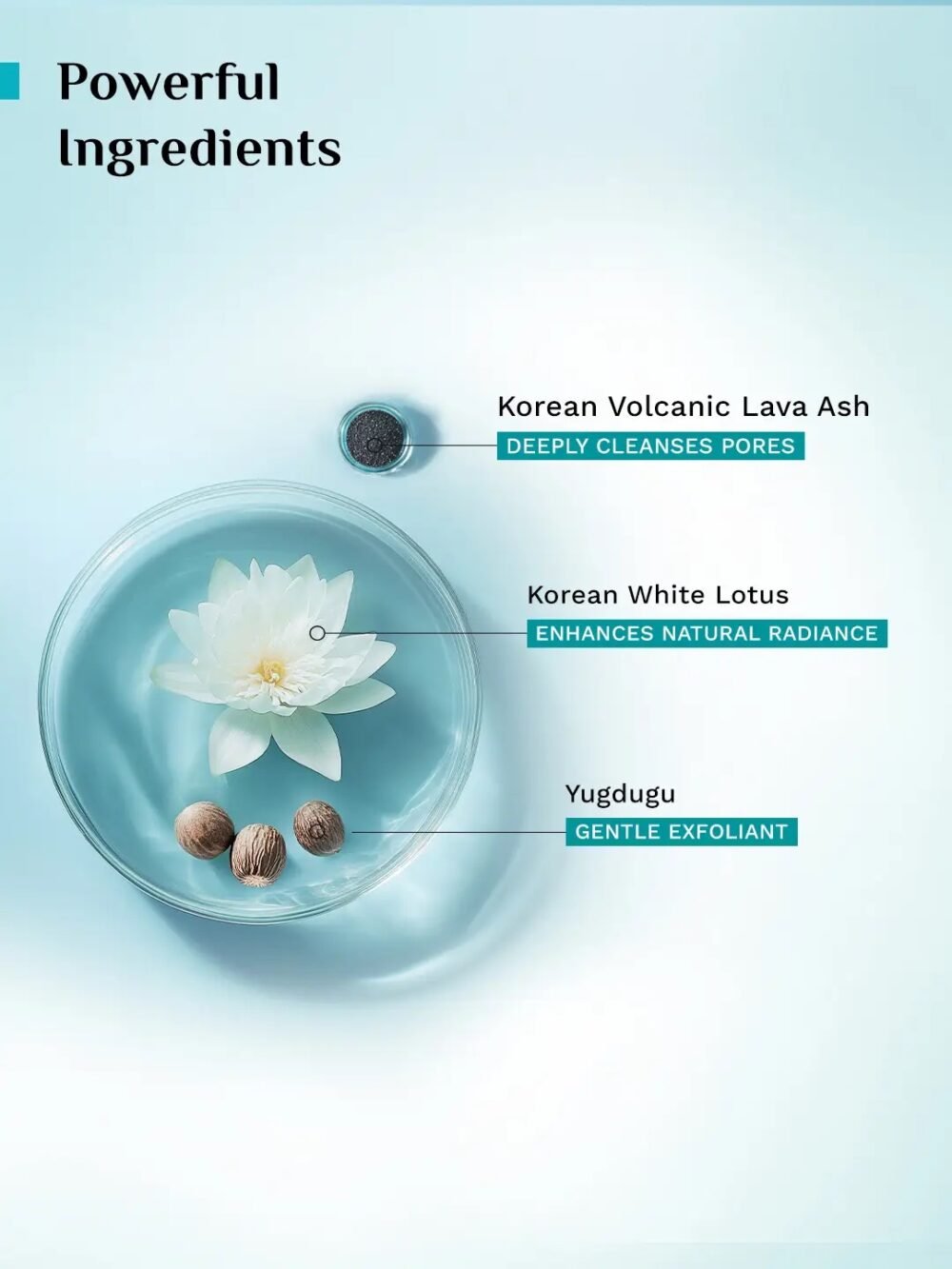 Pilgrim Secrets of Jeju Island Volcanic Lava Ash Face Wash with Yugdugu & White Lotus - 100ml