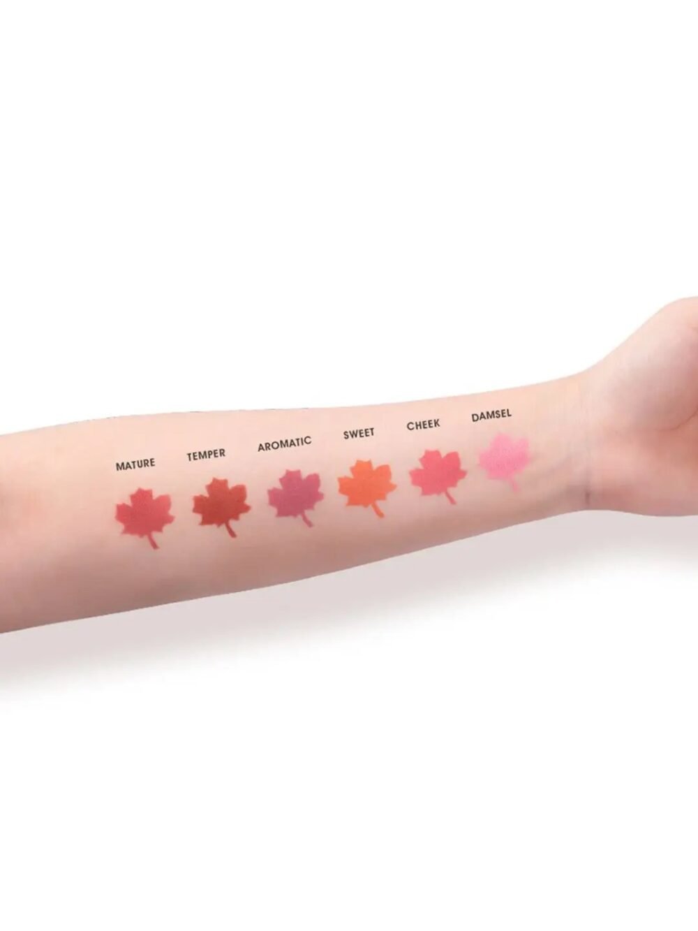 Imagic Professional Cosmetics 6 Colours Touch Blush Palette
